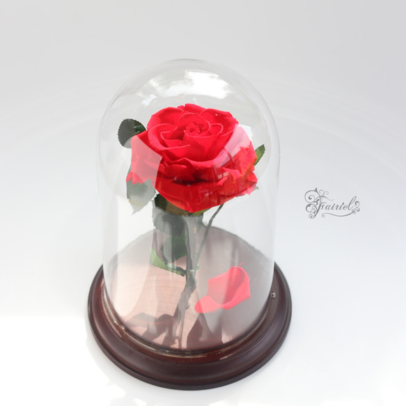 ガラスドーム　一輪の赤いバラ　レッドローズ　プリザーブドフラワー　ギフト【ラッピング・メッセージカード無料】 14枚目の画像