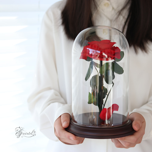 ガラスドーム 一輪の赤いバラ レッドローズ プリザーブド