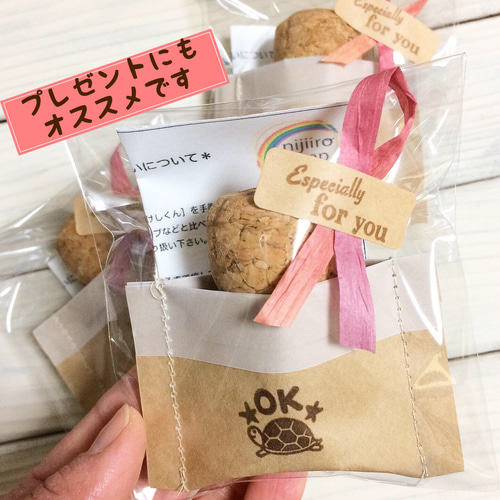 文字がえらべる＊小さなハリネズミとお花の消しゴムはんこ