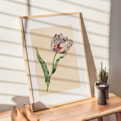 昼寝する子猫日本画アートポスター☆黒ブチ水墨画可愛い癒し浮世絵和柄