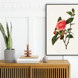 NO.106】タチアオイの絵画ポスター☆油絵ヴィンテージアート