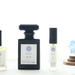 聖なる樹」パロサント 神秘の香木 自然な香り ガラスケースに（7本入り