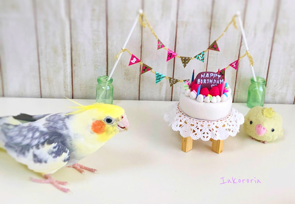 オカメインコ　バースデーカード　3枚セット① 1枚目の画像