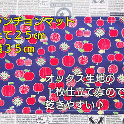 横入れ型 お弁当袋 女の子柄 内側はナイロン生地♪ 小さなお子さまでもあけしめしやすい♪ 14枚目の画像