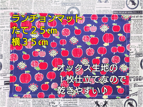 横入れ型 お弁当袋 女の子柄 内側はナイロン生地♪ 小さなお子さまでもあけしめしやすい♪ 14枚目の画像