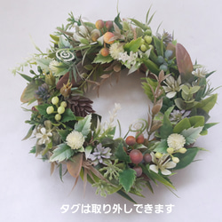 【再販】10種の植物のグリーンリース・癒し(15cm)ミニ 5枚目の画像