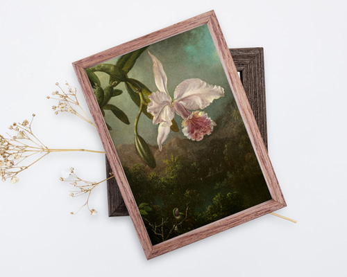 絵画 花 NO.136】蘭の花の絵画のアートポスター☆山森ボタニカル