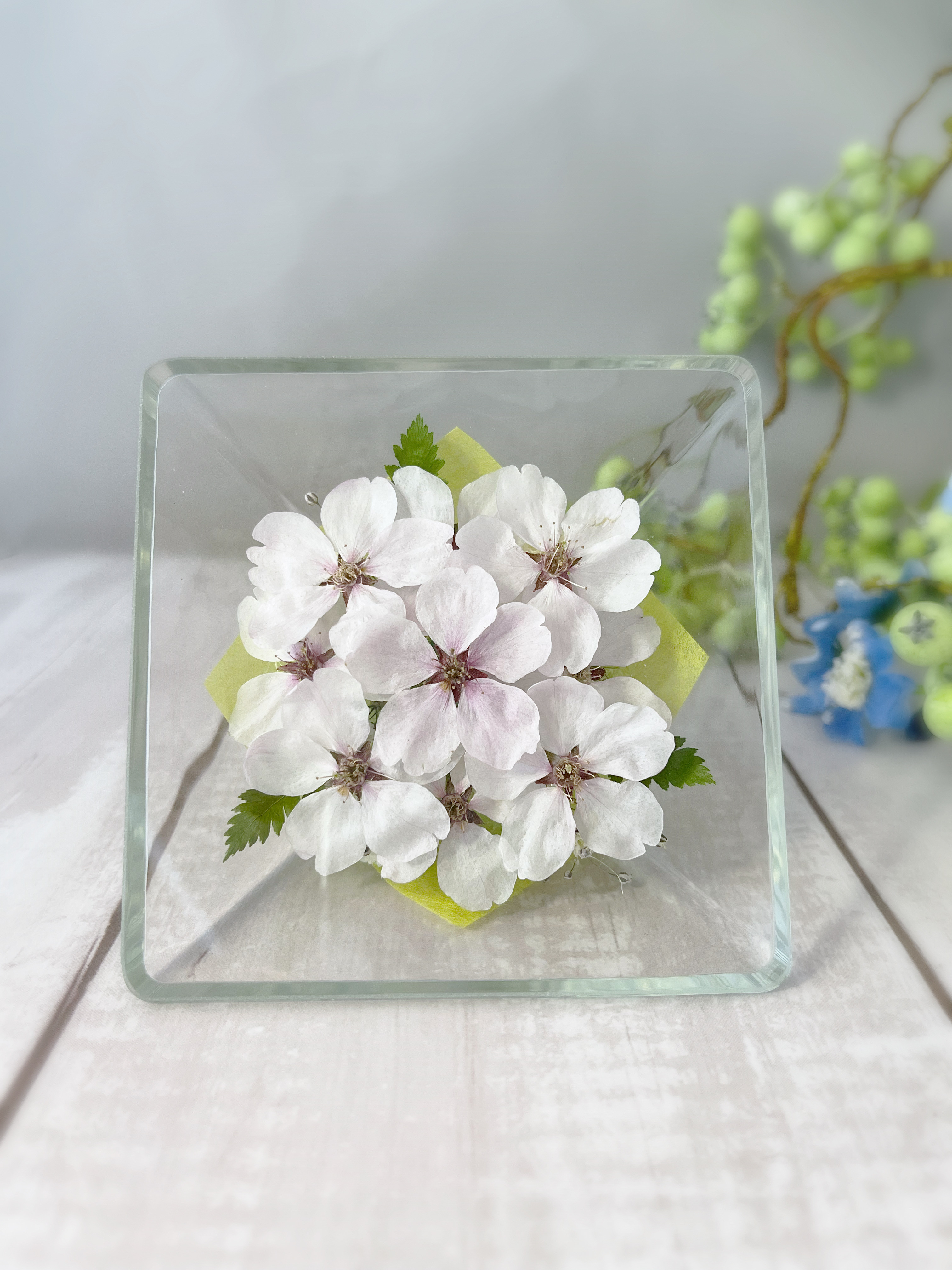 桜のドライフラワー　ボトルフラワー　2パターン【送料一部負担】★受注制作