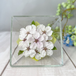 ハンドメイドドライフラワー　たんぽぽガラスフレームW ホワイト bb6845c11e4868b278195016f5a5af