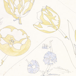 【NO.140】パステルカラーの花柄アートポスター☆ナチュラルインテリアフラワー手書きハガキA4A3A2A1B4B3B2 5枚目の画像