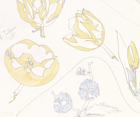 【NO.140】パステルカラーの花柄アートポスター☆ナチュラルインテリアフラワー手書きハガキA4A3A2A1B4B3B2 5枚目の画像