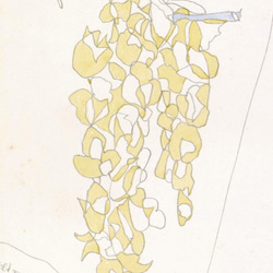 【NO.140】パステルカラーの花柄アートポスター☆ナチュラルインテリアフラワー手書きハガキA4A3A2A1B4B3B2 4枚目の画像