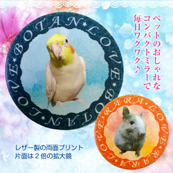 うちの子　鳥　犬　猫　うさぎ「New オーダーメイド コンパクトミラー 手鏡（両面印刷）」 1枚目の画像