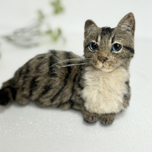 受注商品 mia キジトラ 子猫 置物 羊毛フェルト 展示にサイズ表有 mia