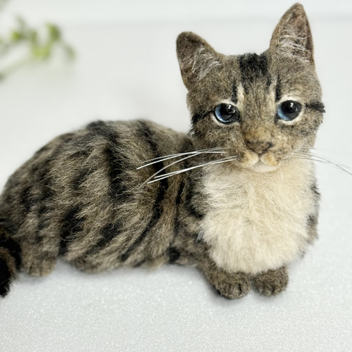 羊毛フェルト　キジトラ(子猫) 受注商品 mia キジトラ 子猫 置物 羊毛フェルト 展示にサイズ表
