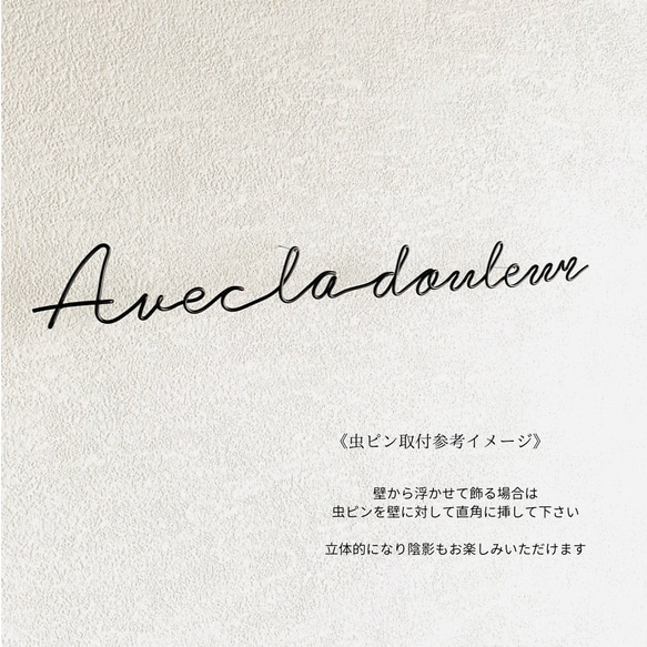 「痛みはやがて強さにかわる」フランス語(虫ピン付属)　名言 ワイヤーレタリング ワイヤーアート ワイヤークラフト 9枚目の画像
