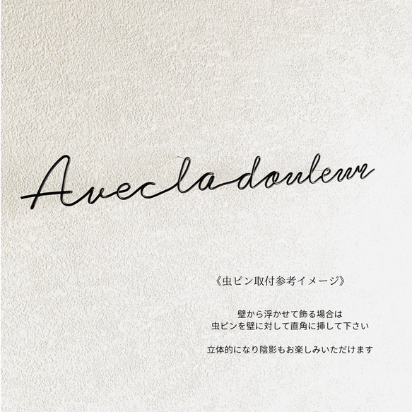 「痛みはやがて強さにかわる」フランス語(虫ピン付属)　名言 ワイヤーレタリング 9枚目の画像