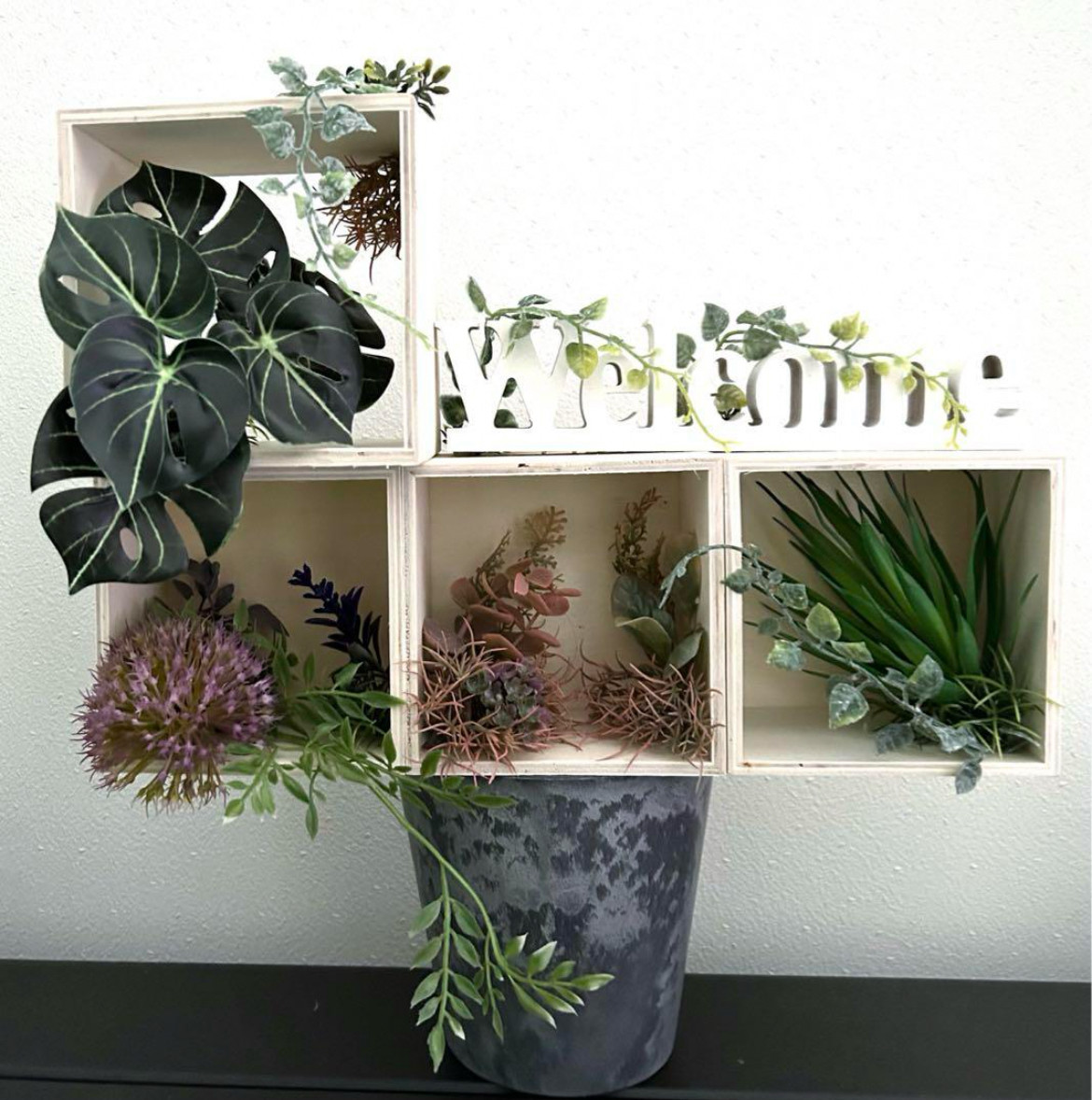 Amazon｜MedianField 【 観葉植物 光触媒 消臭 ＆ 抗菌 ウォール