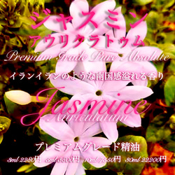 9☘️ヒペリカム苗☘️　❤抜き苗❤　選べるおまけつき　無農薬 9☘️ヒペリカム苗☘️ ❤抜き苗❤ 選べるおまけつき 無農薬