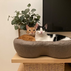 和紙でできた猫ベッド　ざ・ぴ～にゃっつ (オーダー製) 3枚目の画像