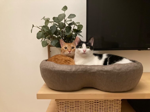 和紙でできた猫ベッド　ざ・ぴ～にゃっつ (オーダー製) 3枚目の画像