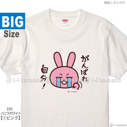 がんばれ自分！Tシャツ  大きいサイズXXL・XXXL 選べる24カラー 頑張るあなたに 応援メッセージ 受験 1枚目の画像