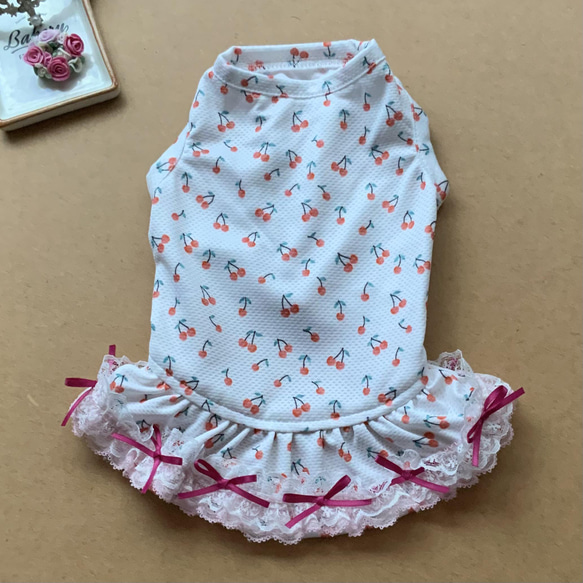 RSH4.RSH5 Cool contact fabric Cherry連體狗服 第1張的照片