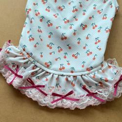 RSH4.RSH5 Cool contact fabric Cherry連體狗服 第2張的照片