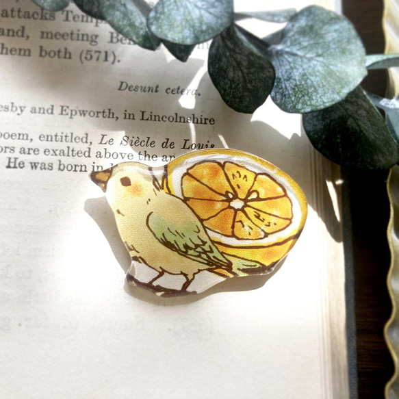 Grapefruit&amp;Bird Brooch｜鳥與柚子胸針 第1張的照片