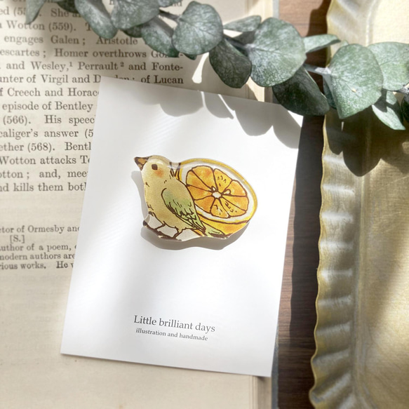 Grapefruit&amp;Bird Brooch｜鳥與柚子胸針 第2張的照片