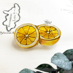 Lemon Brooch｜レモンブローチ〔夏のフルーツ〕 1枚目の画像