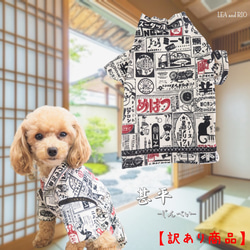 訳あり】甚平 和服 和柄 春 秋 夏祭り 夏 着物 和風 ドッグウェア 小型