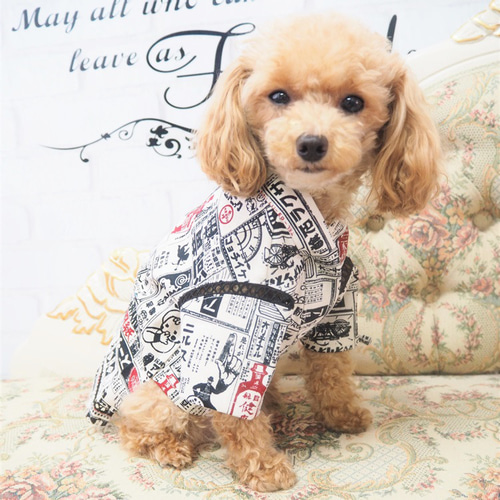 訳あり】甚平 和服 和柄 春 秋 夏祭り 夏 着物 和風 ドッグウェア 小型