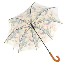 【受注生産】アプリコットファンデーションの雨傘 11枚目の画像