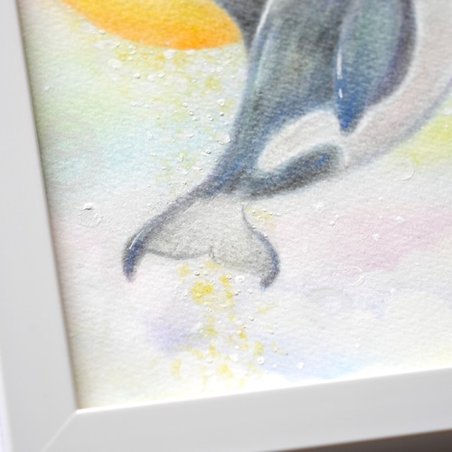 原画・簡易フレーム付】「Orca with a dream」 シャチ 色鉛筆