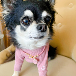 軽くて柔らか♪本革迷子札チャームチョーカー（小型犬、中型犬専用）サイズオーダーあり 4枚目の画像