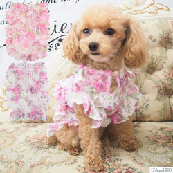 フレアワンピース 花柄 蝶々 トップス フレア レース 春 夏 ドッグ