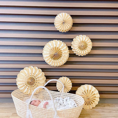 ペーパーファン 100日祝い ハーフバースデー 誕生日 一歳 結婚式  