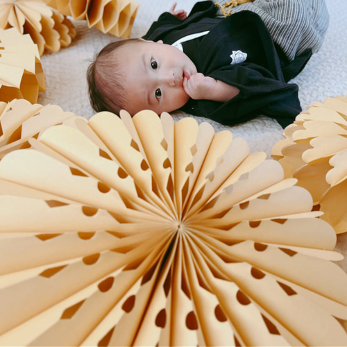 ペーパーファン 100日祝い ハーフバースデー 誕生日 一歳 結婚式  