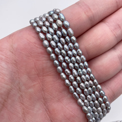小粒 ライス 淡水パール シルバーグレー系 本真珠 20粒 4~6mm*3~3.5mm パーツ ルース 素材 3枚目の画像