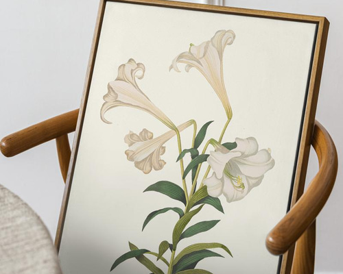 柔らかな雰囲気のボタニカルアート 植物画 ポスター 検）モモ