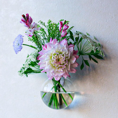 地震に強い！倒れない花瓶【フック付き 壁かけ花瓶】クリア2025