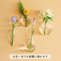 地震に強い！倒れない花瓶【フック付き 壁かけ花瓶】 19枚目の画像