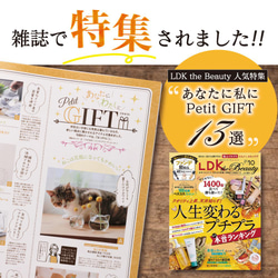 地震に強い！倒れない花瓶【フック付き 壁かけ花瓶】 5枚目の画像