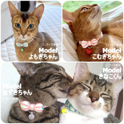 ボーダー×蛍光ドットのまるりぼん◆猫ちゃんの夏首輪 5枚目の画像