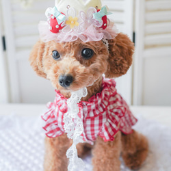 ＜人気商品＞いちご　♡crown お写真がとびっきり可愛く撮れます/誕生日　撮影会にも　王冠　犬　猫　バレンタインにも 1枚目の画像