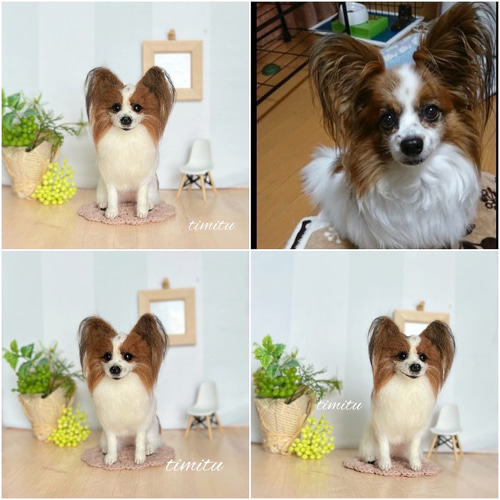 羊毛フェルト うちの子マスコット オーダーページ ♡ 愛犬 ぬいぐるみ 