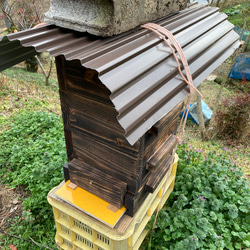 ニホンミツバチ巣箱前開き巣門スノコ付き 12枚目の画像