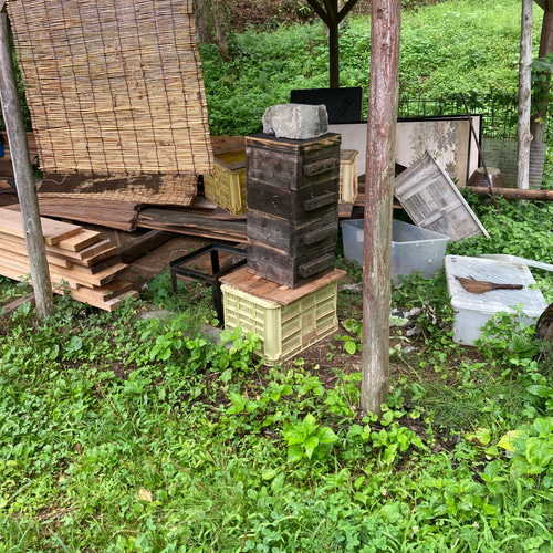 ニホンミツバチ巣箱前開き巣門スノコ付き 木材・板 桃源郷工房 通販