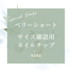 ♡ ネイルチップ・お急ぎ便A ネイルチップ お急ぎ便 ネイルチップ（つけ爪） E-nail♡ 通販